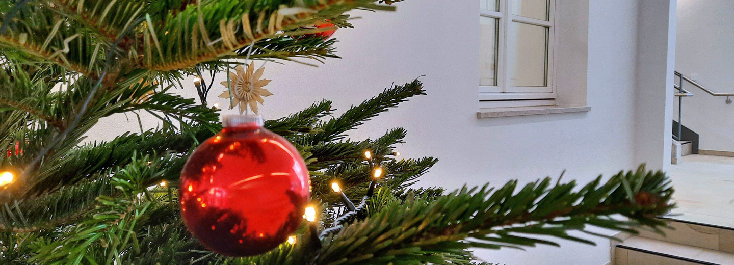 Weihnachtsbaum im Rathaus